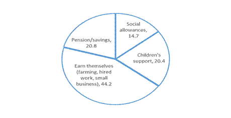 Figure 1. The main income of elderly people